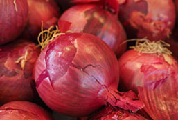 网页攻击器教程