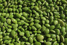 高速下载不卡的ddos流量攻击购买